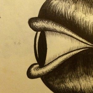 Meet your Posher, Noah